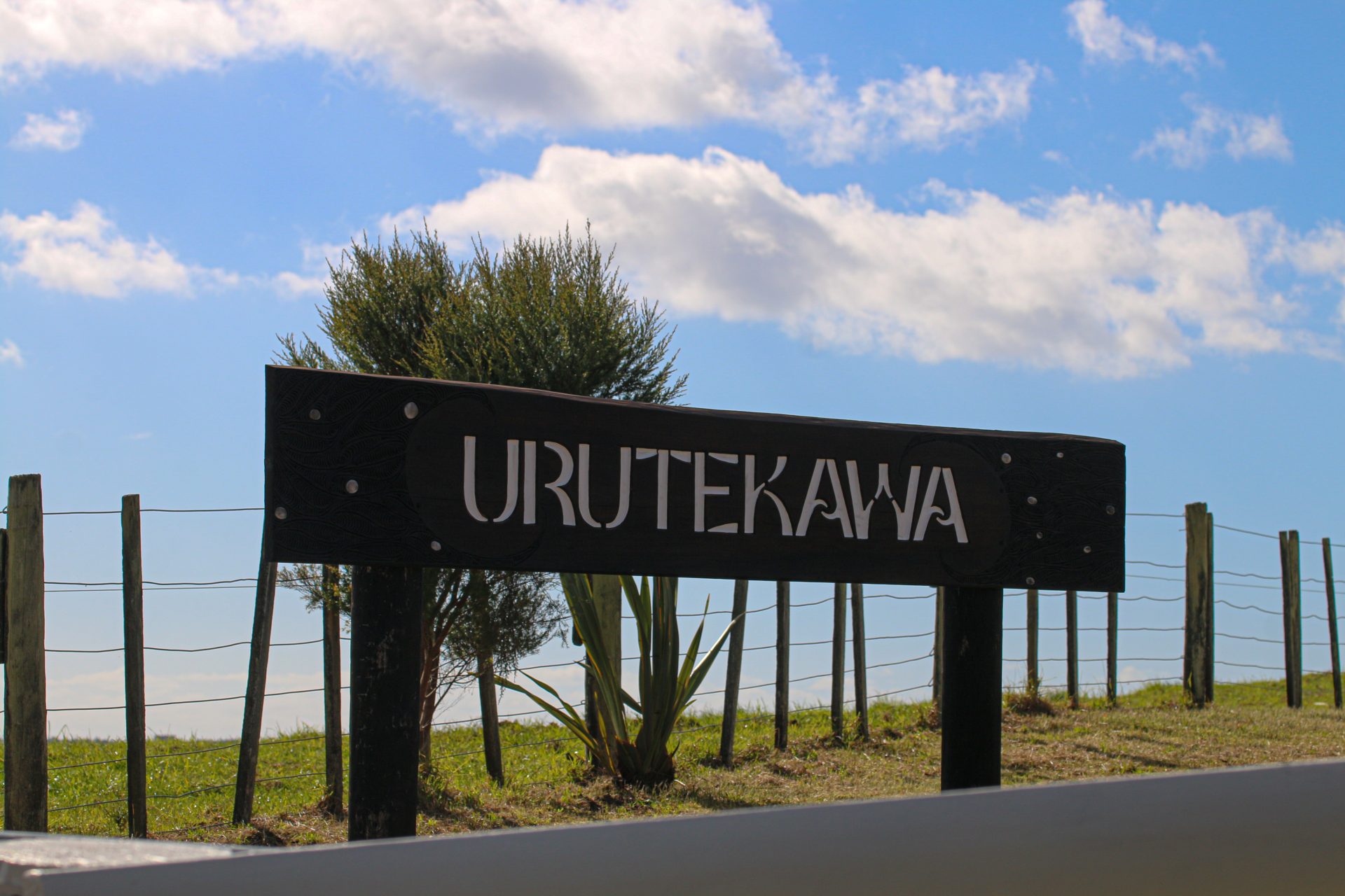 Poutohu whakairo na Hine raua ko Dallas Waitai - Photo by Nellie Rahiri