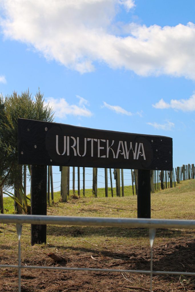 Urutekawa – Photo by Nellie Rahiri